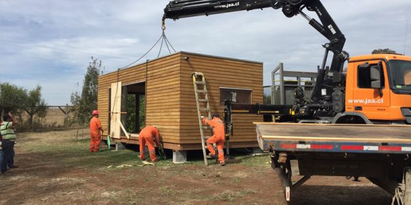 Beebox, líder en innovación en construcción modular utilizando contenedores marítimos